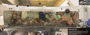 Screenshot from Virtual Field Trip to CCAR, in the touch tank room with interactive tags and info cards